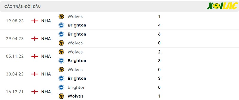 Thành tích đối đầu Brighton vs Wolves Thành tích đối đầu Brighton vs Wolves